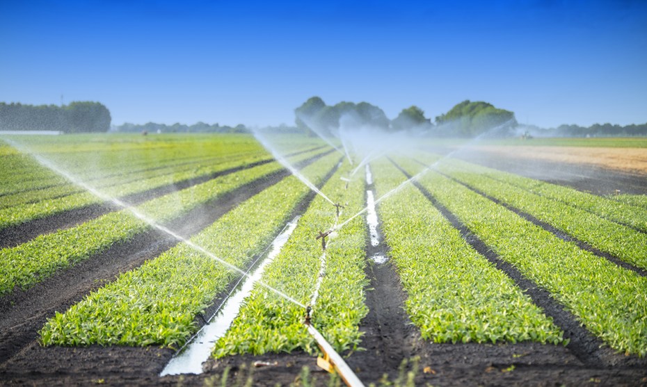 IRRIGATION SYSTEMS